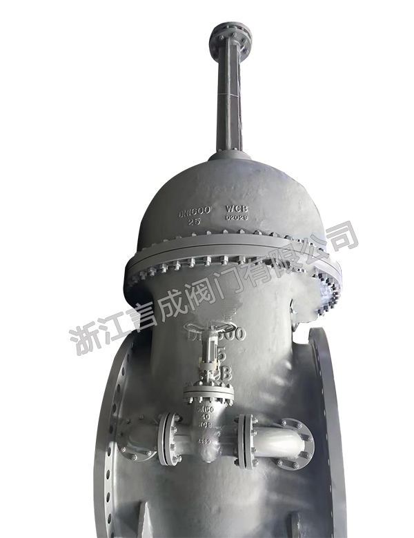 國標(biāo)大口徑閘閥 WCB 25 DN1600